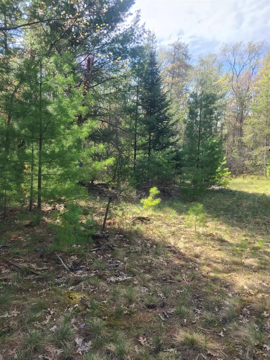 3856 Old State, Sand Lake, MI 48748 - #2