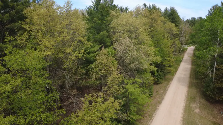 x Hillside DR, Alger, MI 48610 - #3