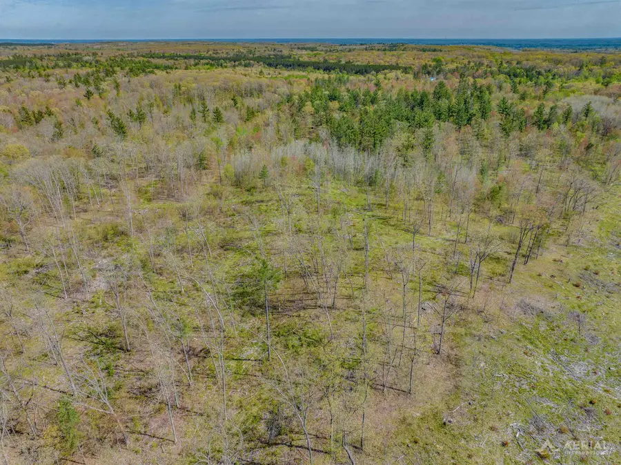 0 Clear Lake RD, Foster, MI 48661 - #3