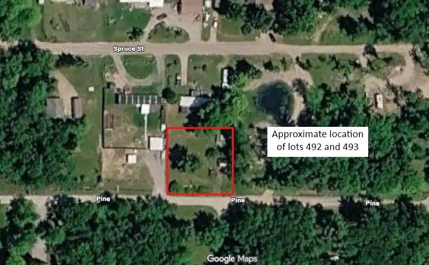 Pine ST, Hale, MI 48739 - #2