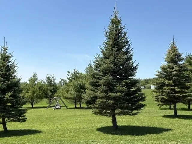 900 Providence, West Branch, MI 48661 - #3