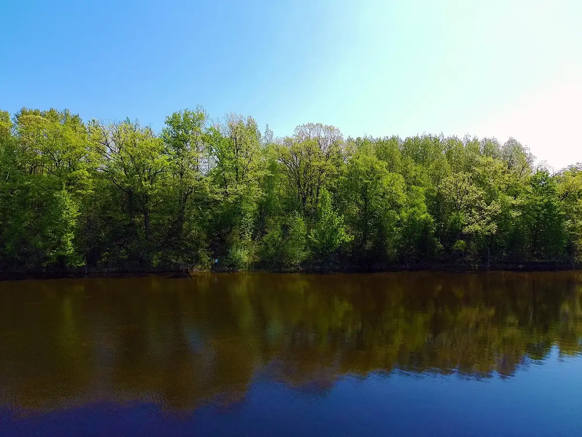 V/L Bass Lake, Lupton, MI 48635 - #1