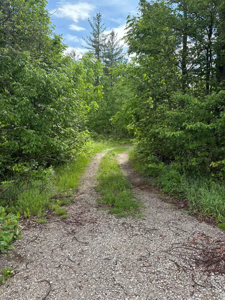 V/L M-76, Roxand, MI 48861 - #3