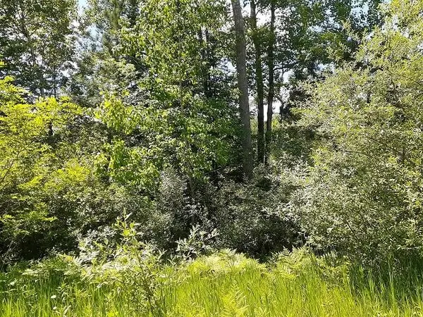0 East Side DR, Lupton, MI 48635
