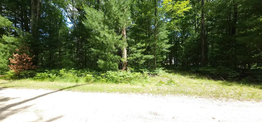 00 Red Oak TRL, Prescott, MI 48610 - #3