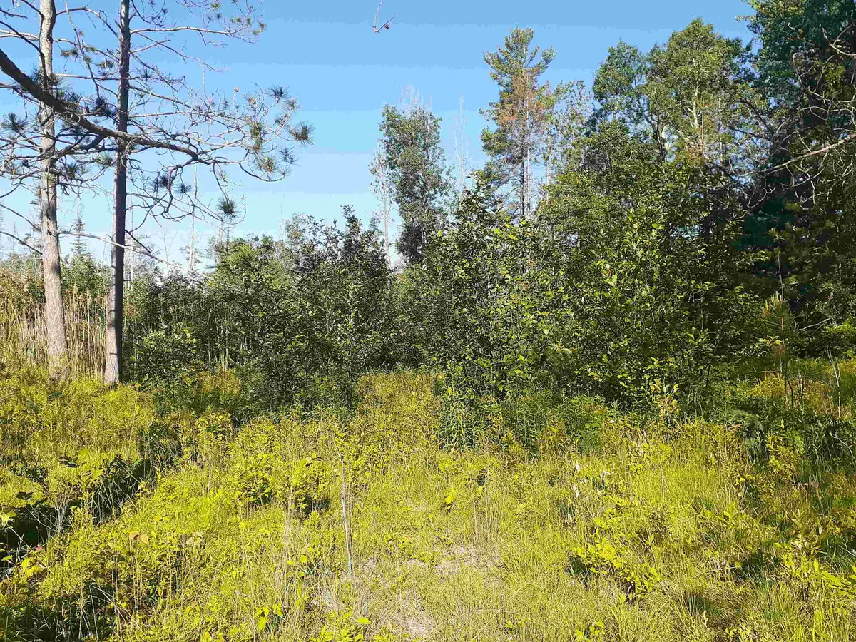 7631 F-41, Oscoda, MI 48750 - #1