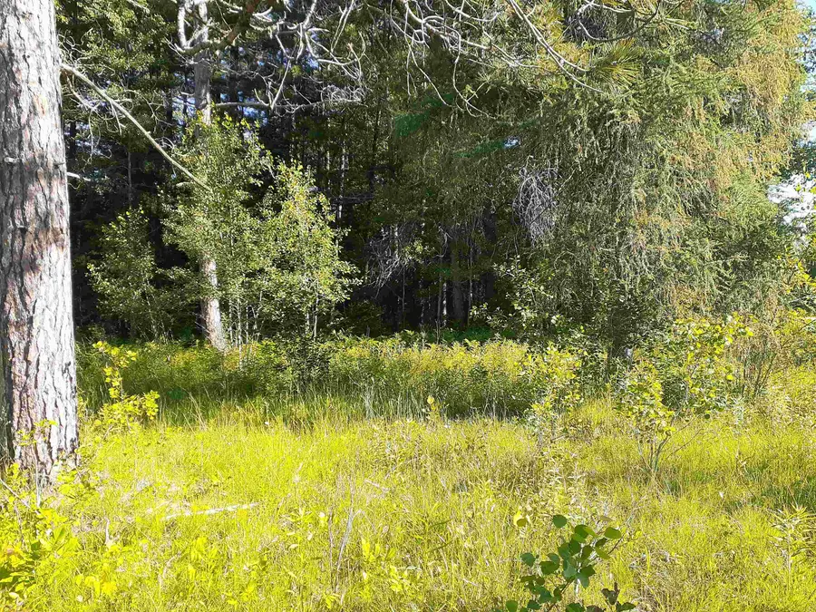 7631 F-41, Oscoda, MI 48750 - #2