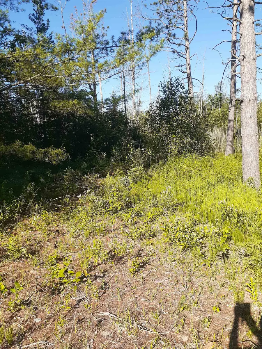 7631 F-41, Oscoda, MI 48750 - #3