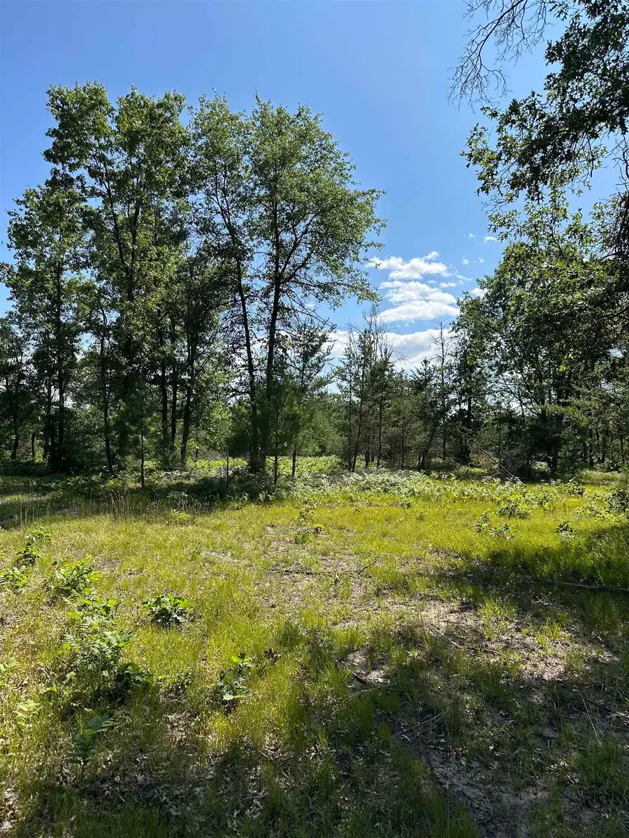 2095 Vaughn RD, Sand Lake, MI 48748 - #2