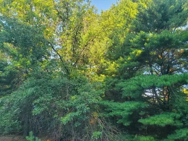 5172 S M-33, Alger, MI 48610 - #3