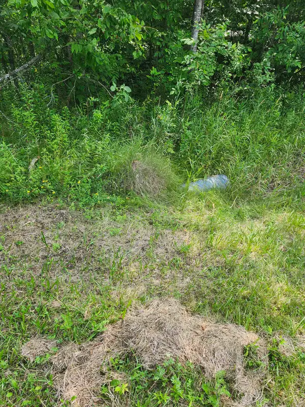 2751 Boughner Lake, Prescott, MI 48756