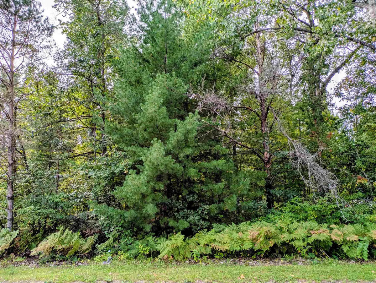 S Forest Lake, Alger, MI 48610 - #1