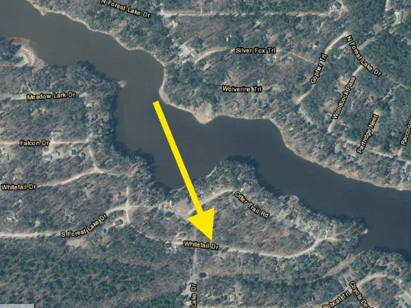 Whitetail DR, Alger, MI 48610