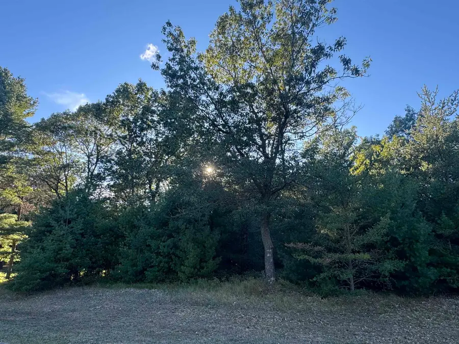 00 Rollin Hill CT, Oscoda, MI 48750 - #3