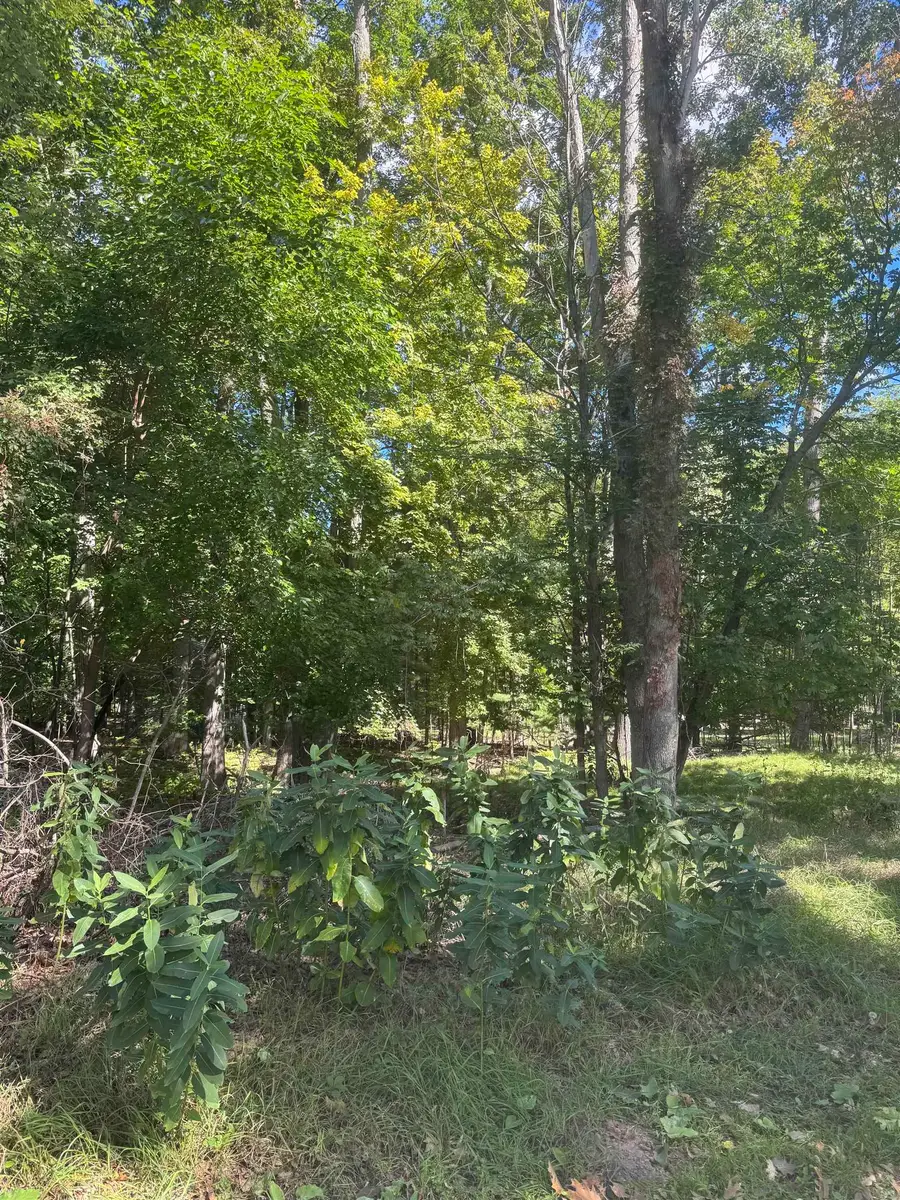 0 Campbell, Hale, MI 48739 - #2