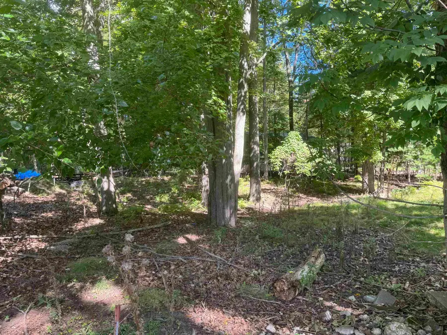 0 Campbell, Hale, MI 48739 - #3