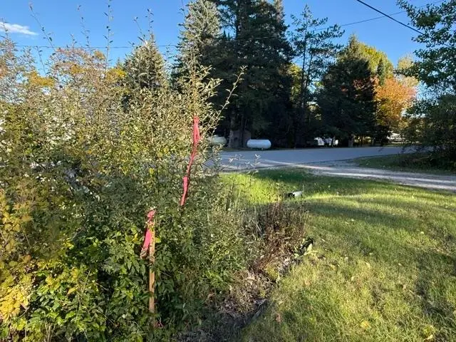 N/A Lakeview, Hale, MI 48739 - #3