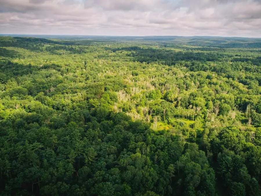 6378 S Mac, Baldwin, MI 49304 - Image #2