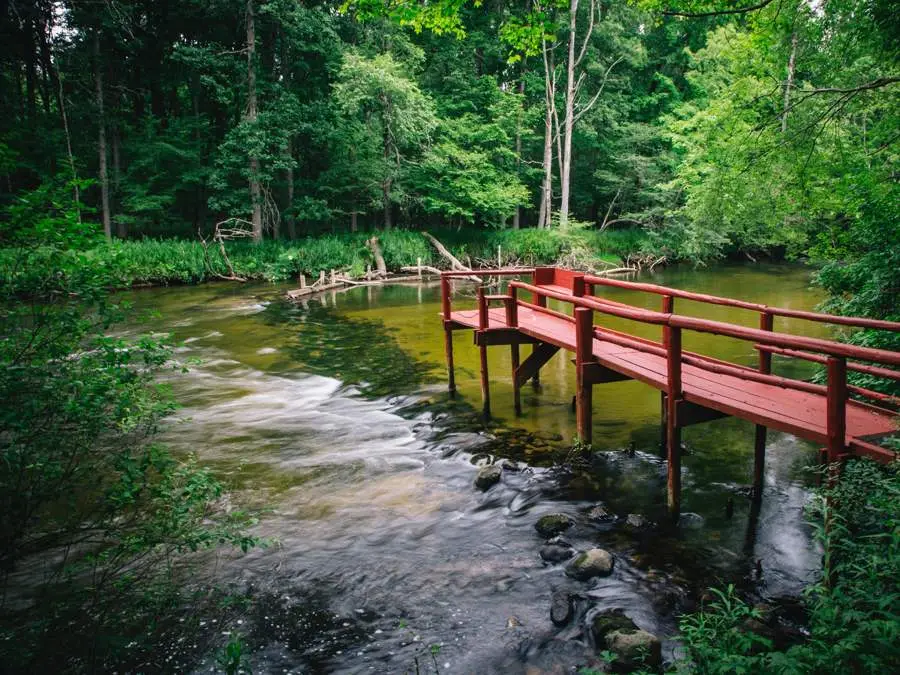 6378 S Mac, Baldwin, MI 49304 - Image #3