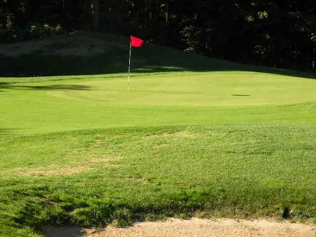 71 Broadwinged, Bellaire, MI 49615 - Image #3