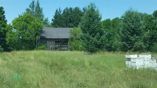 Parcel B Cemetery, Alden, MI 49612 - #2