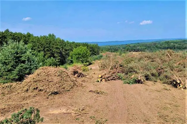 Parcel B Cemetery, Alden, MI 49612 - #3