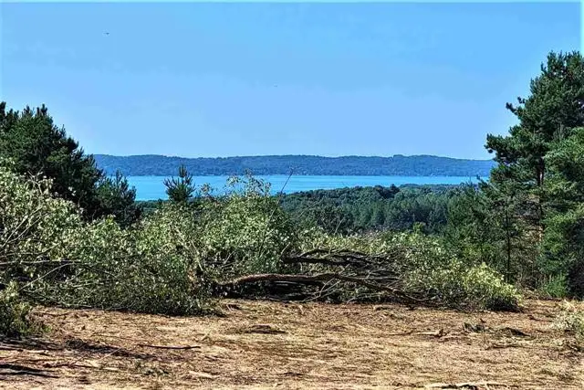 Parcel C Cemetery, Alden, MI 49612 - #3