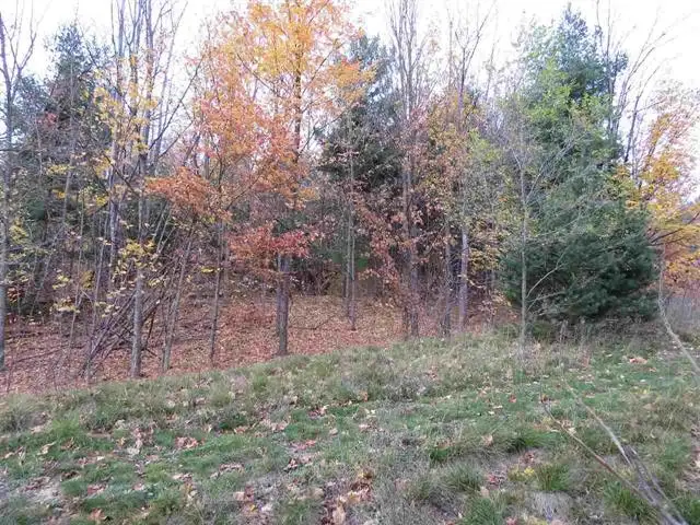 Lot 71 Rawlings, Kingsley, MI 49649 - Image #1