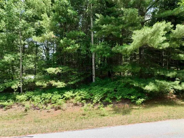 Lot 5 White Pine, Cadillac, MI 49601 - Image #3
