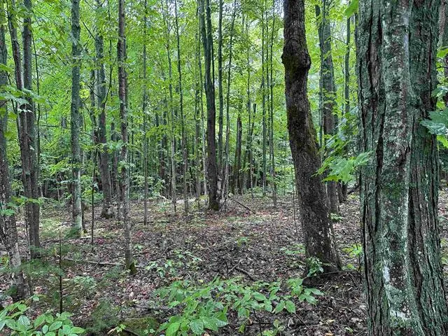 6125/6151 Cunningham, Mancelona, MI 49659 - Image #2