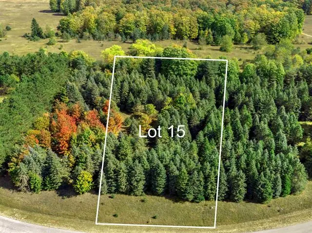 Lot 16 Lipp Farm, Benzonia, MI 49616 - Image #1