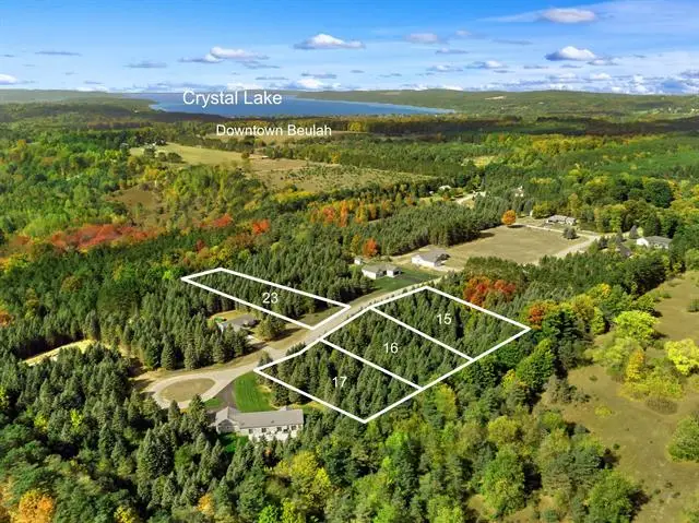 Lot 16 Lipp Farm, Benzonia, MI 49616 - Image #2