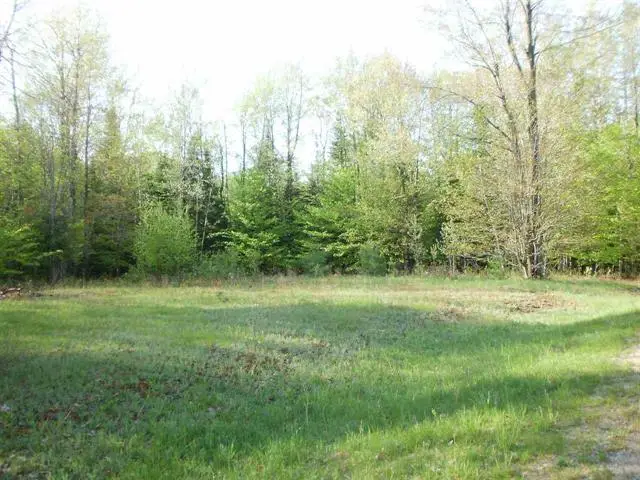 Lot 4 Spring Valley, Cadillac, MI 49601 - Image #2