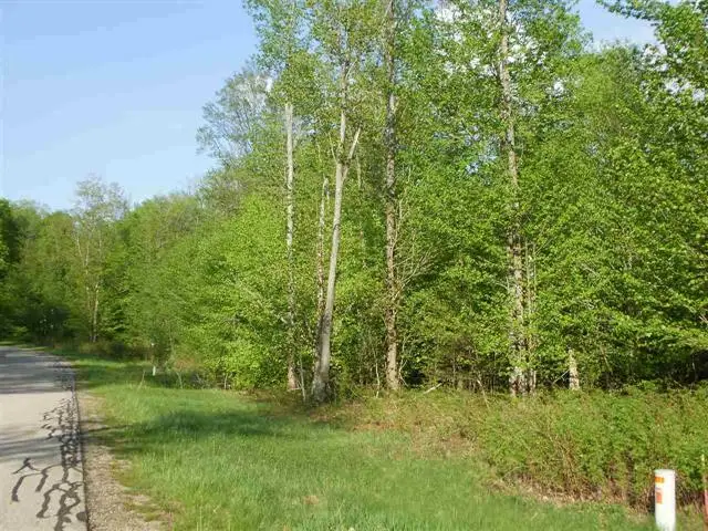 Lot 4 Spring Valley, Cadillac, MI 49601 - Image #3