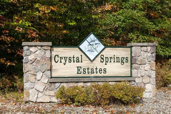 Lot 41 Spring Valley, Cadillac, MI 49601