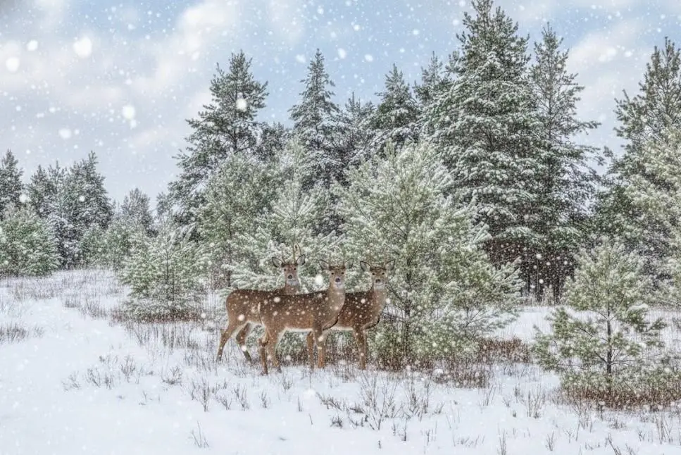 Parcel F N 2 1/2 RD, Buckley, MI 49620 - Image #1