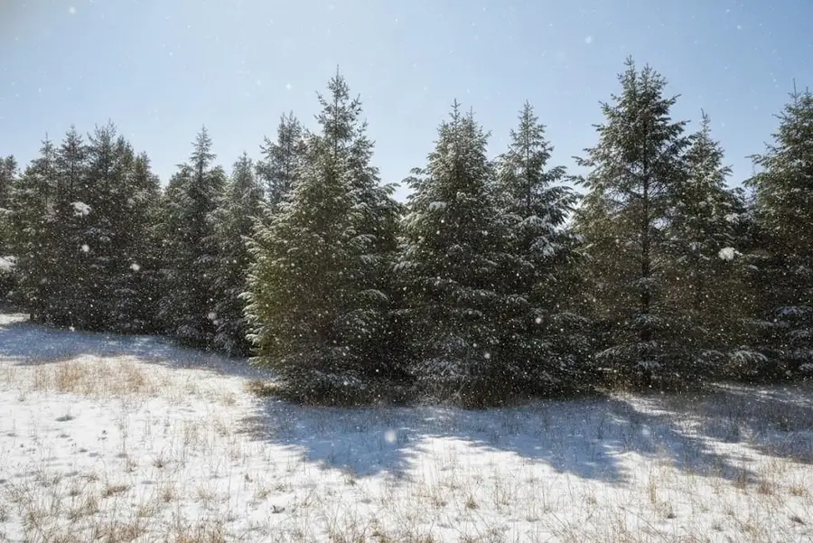 Parcel F N 2 1/2 RD, Buckley, MI 49620 - Image #3