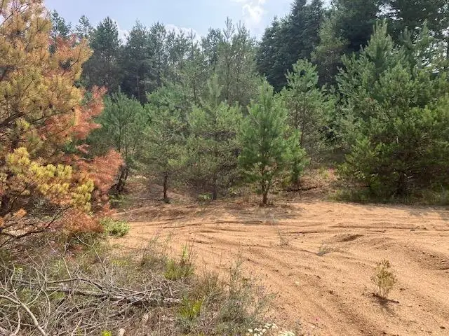 Parcel F-2 N 2 1/2 RD, Buckley, MI 49620 - Image #1