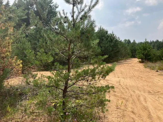 Parcel F-2 N 2 1/2 RD, Buckley, MI 49620 - Image #3