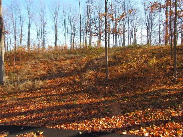 4167 Maple Hill RD, Grawn, MI 49637 - Image #3