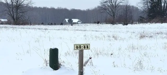 LOT 44 Alden, Alden, MI 49612 - Image #2