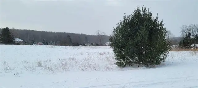 LOT 44 Alden, Alden, MI 49612 - Image #3