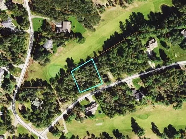 Lot 29 White Pine, Cadillac, MI 49601