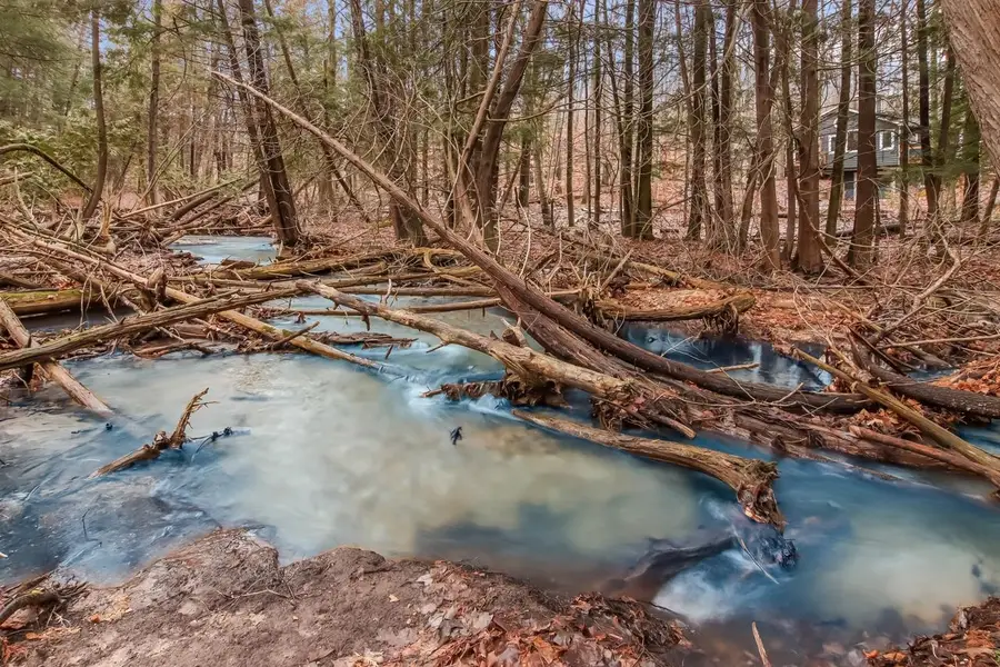 6493 Deer, Bellaire, MI 49615 - Image #3