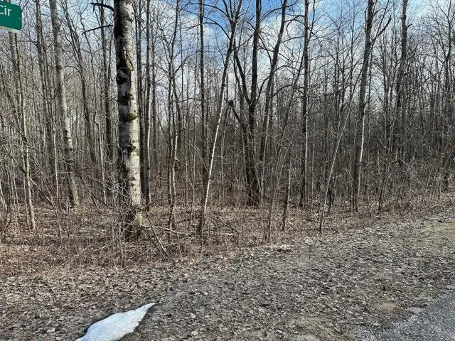 Lot 351 Dellwood, Elmira, MI 49730 - Image #2