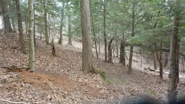 00 Old State, Frankfort, MI 49635