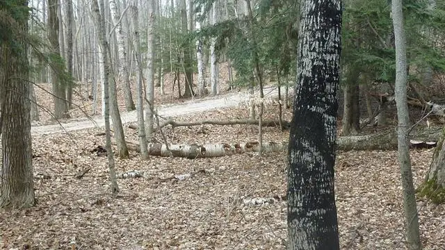 00 Old State, Frankfort, MI 49635 - Image #2