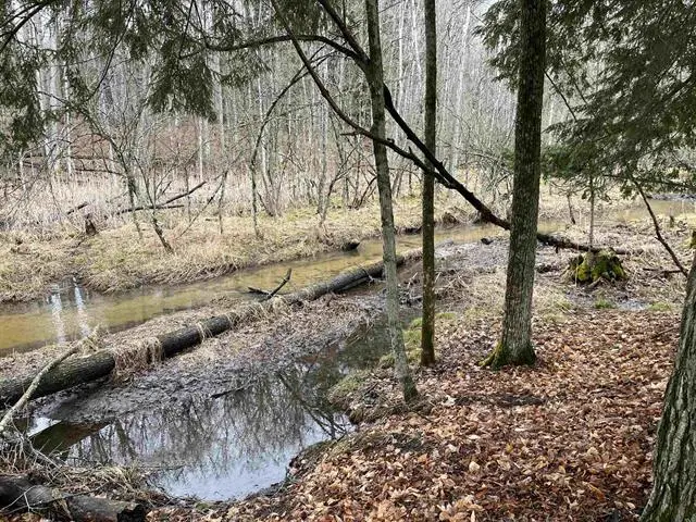 M-55, Wellston, MI 49689 - Image #1