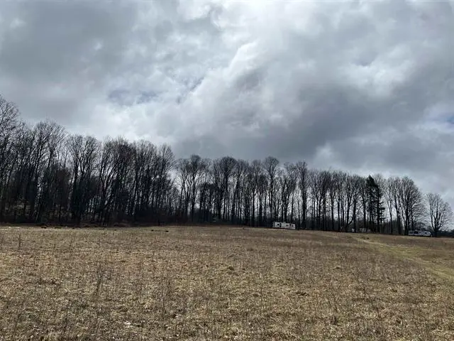 M-55, Wellston, MI 49689 - Image #3