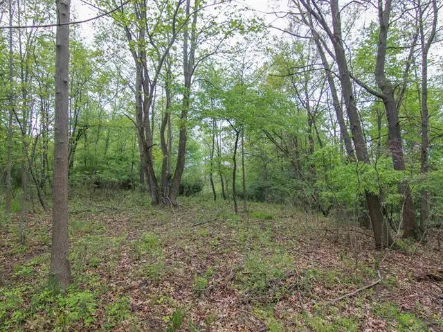 000-Unit 3 Ledgewood Ravine TRL, Fenton, MI 48430 - #3